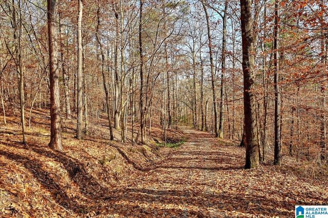 509 COUNTY ROAD 547, Hanceville, AL 35077