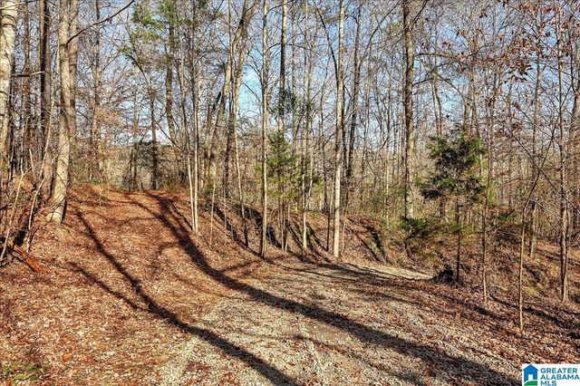 509 COUNTY ROAD 547, Hanceville, AL 35077