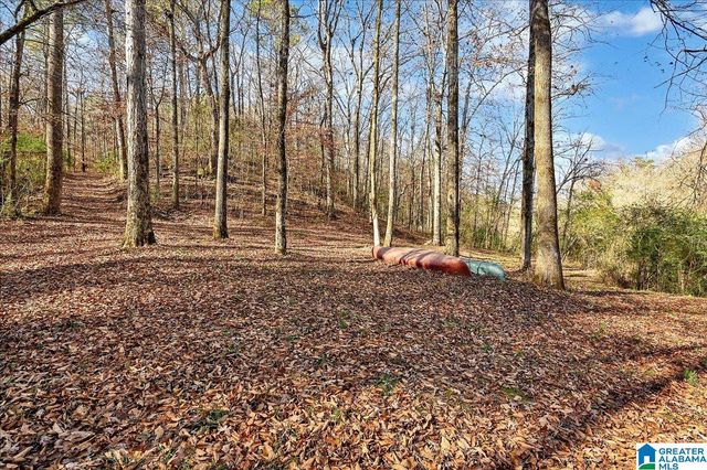 509 COUNTY ROAD 547, Hanceville, AL 35077