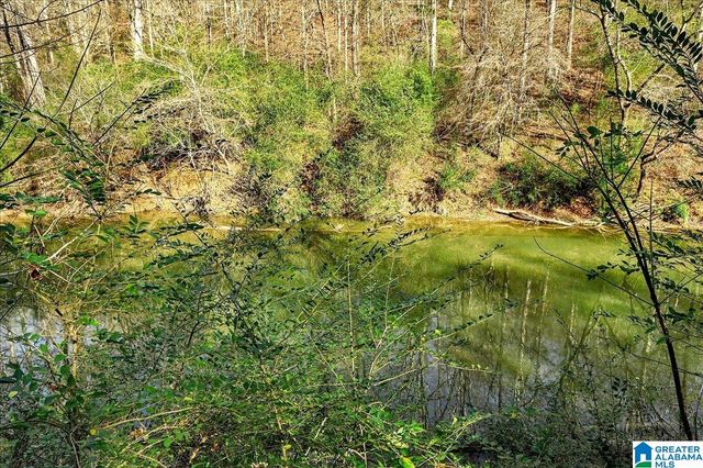 509 COUNTY ROAD 547, Hanceville, AL 35077