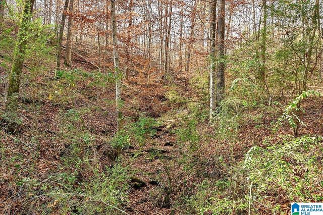 509 COUNTY ROAD 547, Hanceville, AL 35077