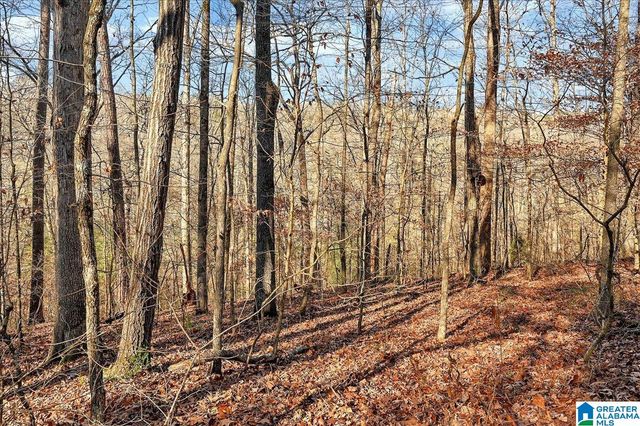 509 COUNTY ROAD 547, Hanceville, AL 35077