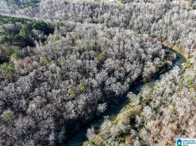 509 COUNTY ROAD 547, Hanceville, AL 35077