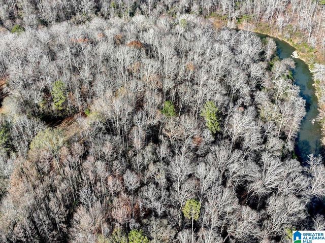 509 COUNTY ROAD 547, Hanceville, AL 35077