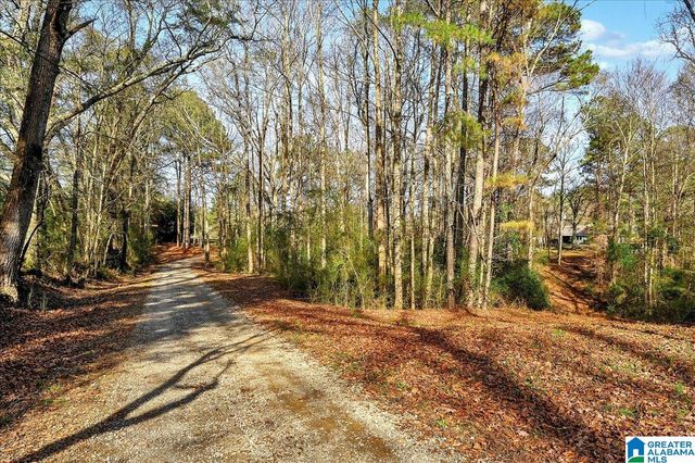 509 COUNTY ROAD 547, Hanceville, AL 35077