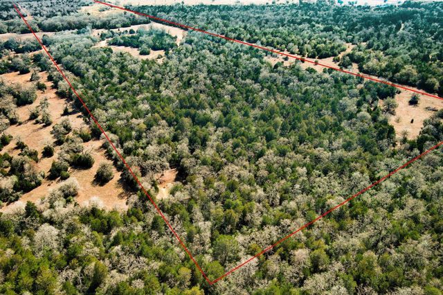 1648 Jeddo RD, Rosanky, TX 78953