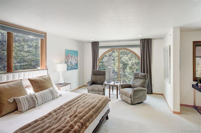 442 White Cloud Drive, Breckenridge, CO 80424
