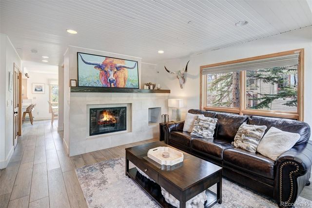 442 White Cloud Drive, Breckenridge, CO 80424