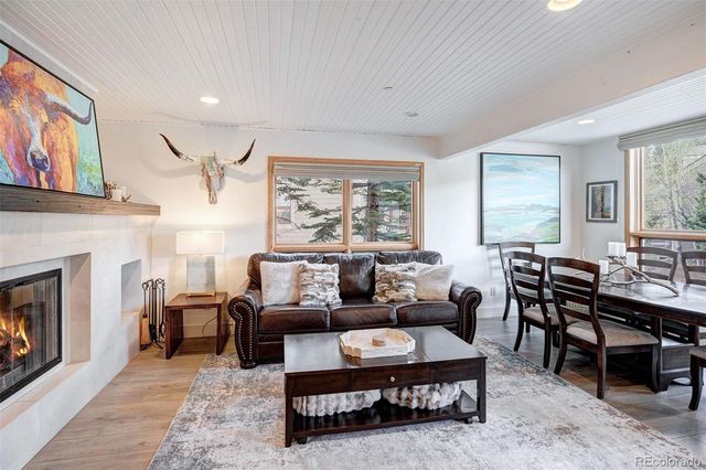 442 White Cloud Drive, Breckenridge, CO 80424