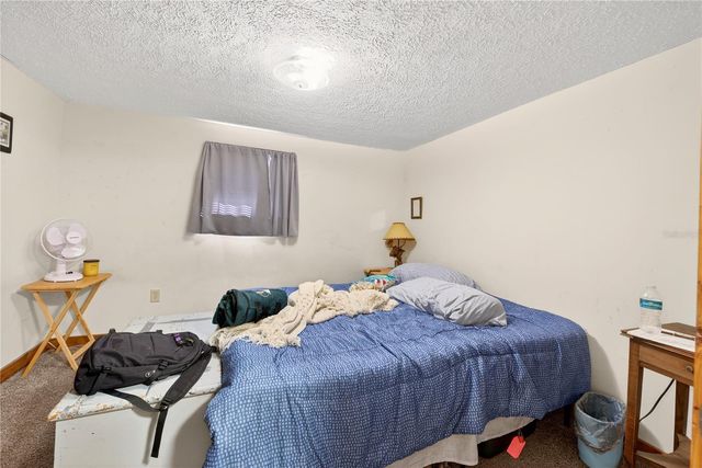 15321 NE 160TH AVENUE ROAD, Salt Springs, FL 32134