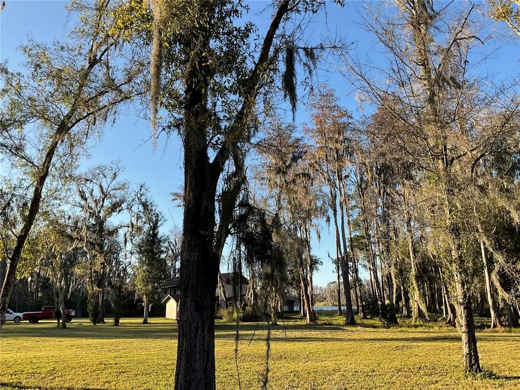 1029 VAN DYKE ROAD, Lutz, FL 33548