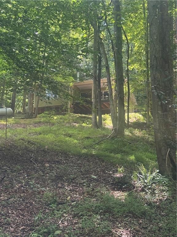 195 Chestatee Drive, Dahlonega, GA 30533