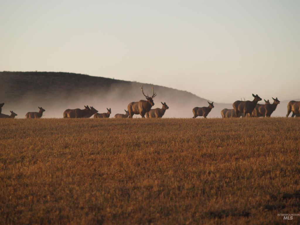 Ne Little Camas Reservoir Road, Mountain Home, ID 83647 photo 14