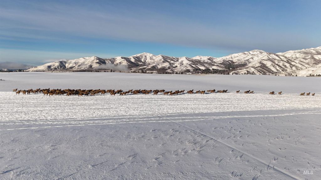 Ne Little Camas Reservoir Road, Mountain Home, ID 83647 photo 2