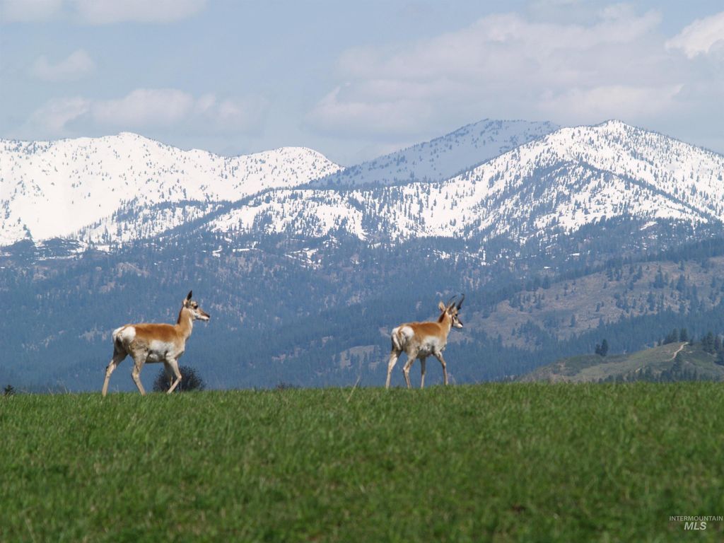 Ne Little Camas Reservoir Road, Mountain Home, ID 83647 photo 21