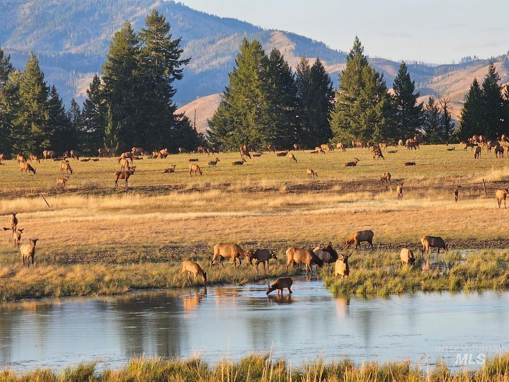 Ne Little Camas Reservoir Road, Mountain Home, ID 83647 photo 6