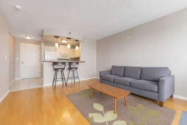 111 W Maple Street 3110, Chicago, IL 60610