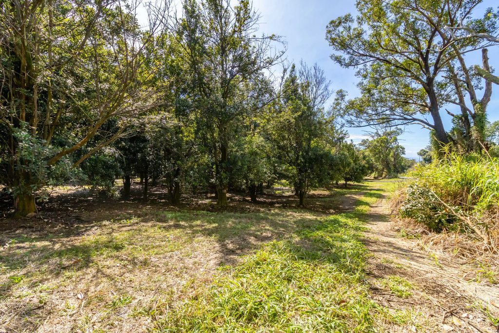 Image 13 of property listing at 96-2865 WOOD VALLEY RD, Pahala, HI 96777
