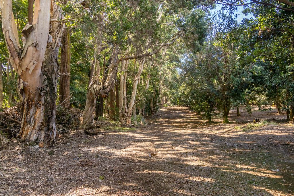 Image 14 of property listing at 96-2865 WOOD VALLEY RD, Pahala, HI 96777