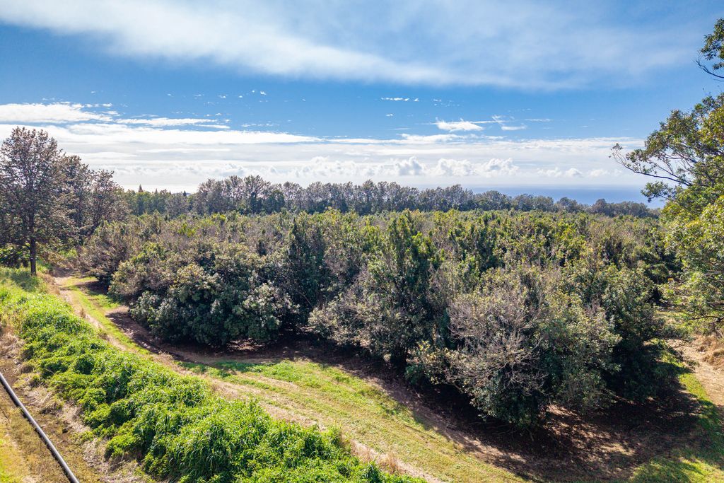 Image 15 of property listing at 96-2865 WOOD VALLEY RD, Pahala, HI 96777
