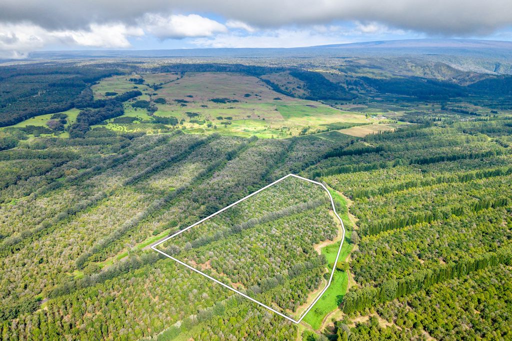 Image 16 of property listing at 96-2865 WOOD VALLEY RD, Pahala, HI 96777