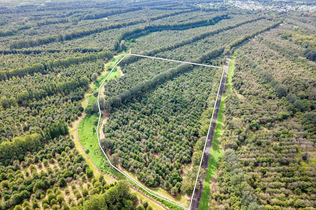 Image 3 of property listing at 96-2865 WOOD VALLEY RD, Pahala, HI 96777