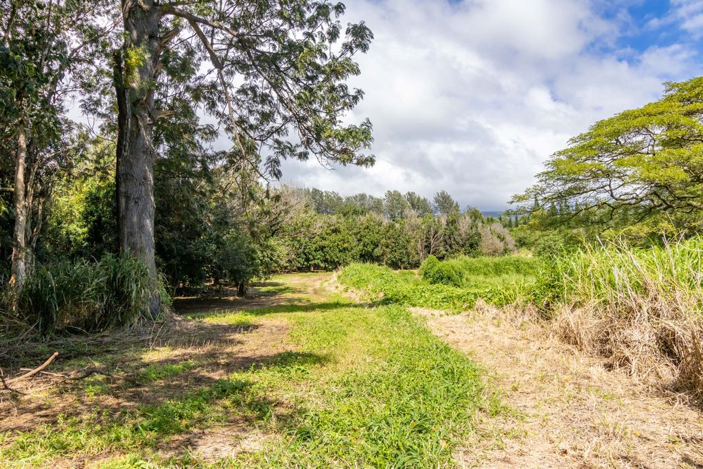 Image 4 of property listing at 96-2865 WOOD VALLEY RD, Pahala, HI 96777