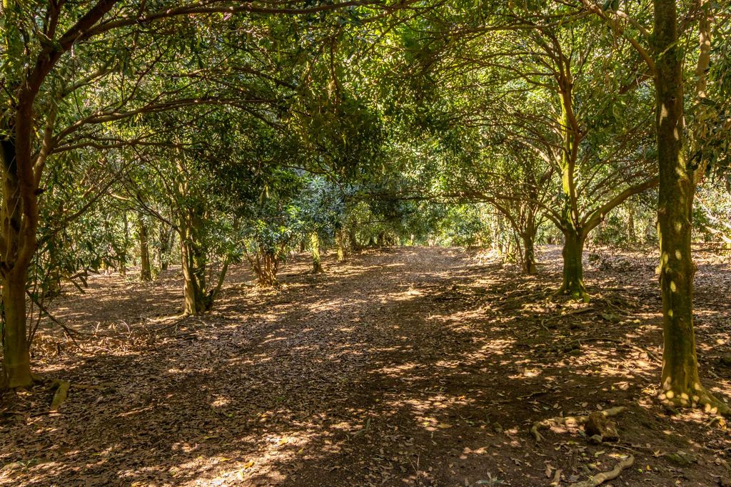 Image 5 of property listing at 96-2865 WOOD VALLEY RD, Pahala, HI 96777