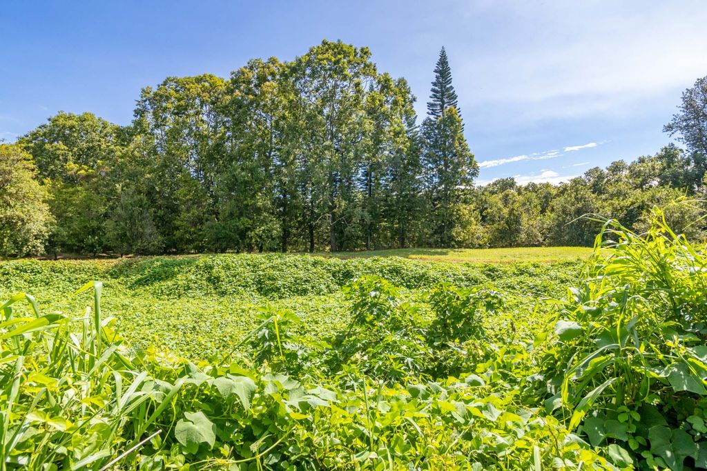 Image 6 of property listing at 96-2865 WOOD VALLEY RD, Pahala, HI 96777