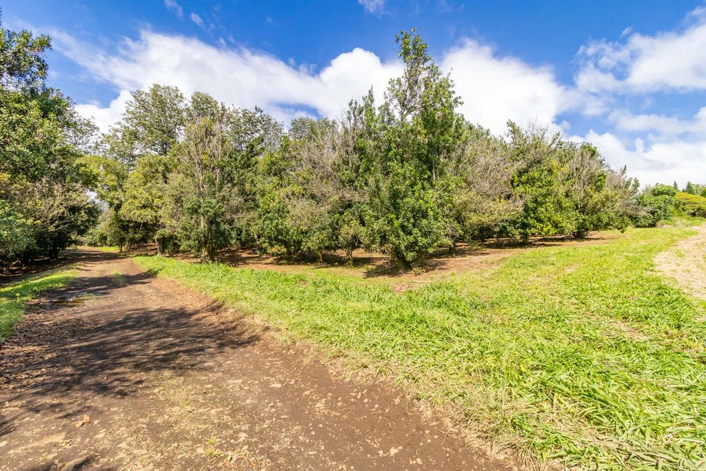 Image 7 of property listing at 96-2865 WOOD VALLEY RD, Pahala, HI 96777