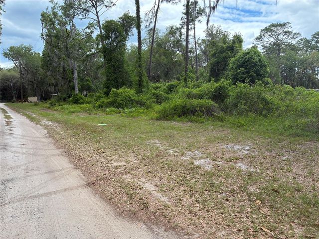 00 SE 87 STREET, Ocklawaha, FL 32179