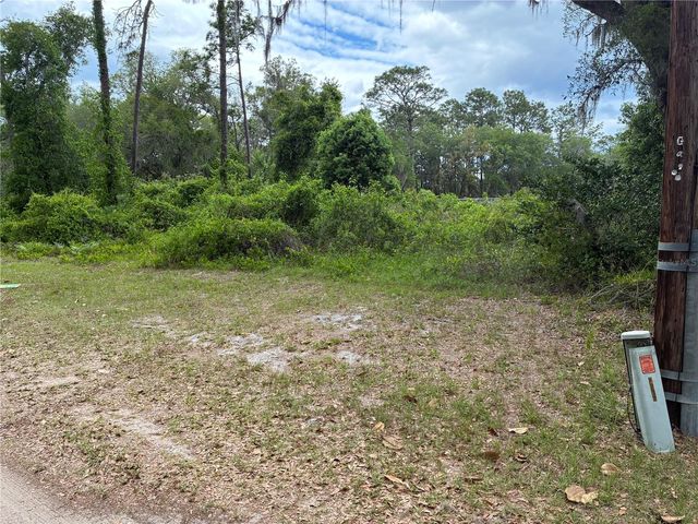 00 SE 87 STREET, Ocklawaha, FL 32179