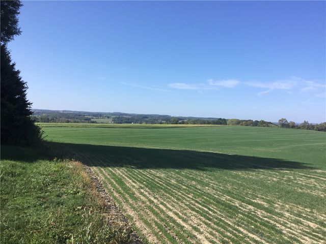 7740 Big Tree Road, Covington, NY 14525