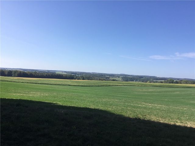 7740 Big Tree Road, Covington, NY 14525