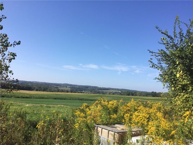 7740 Big Tree Road, Covington, NY 14525