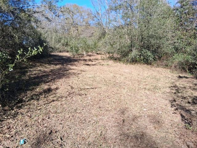 0 Alma Circle N, Wilmer, AL 36587