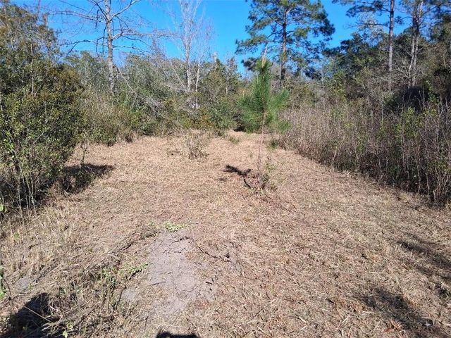 0 Alma Circle N, Wilmer, AL 36587