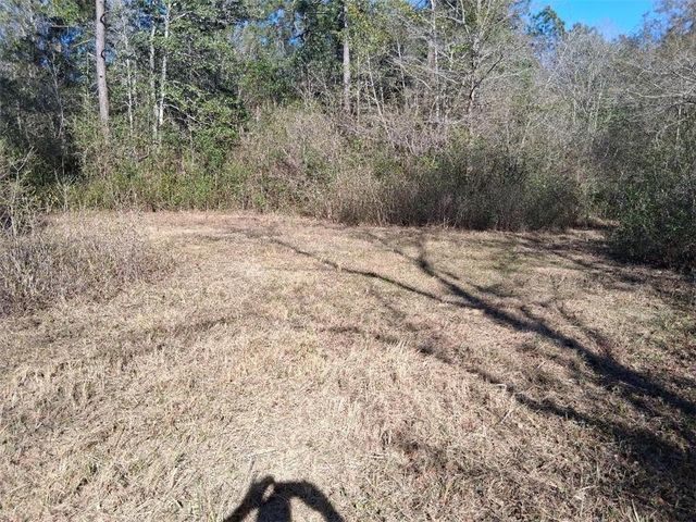0 Alma Circle N, Wilmer, AL 36587