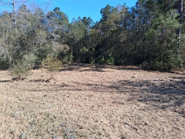 0 Alma Circle N, Wilmer, AL 36587