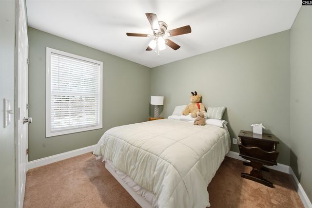 109 Kerry Gibbons Drive, Chapin, SC 29036