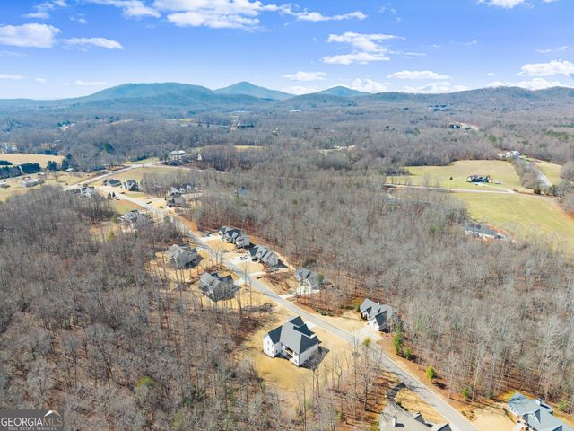 254 Samson Way, Cleveland, GA 30528