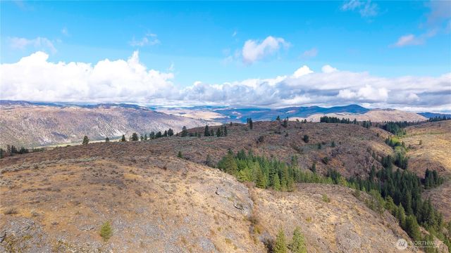 0 TBD Pharr Out - 11 Way, Omak, WA 98841