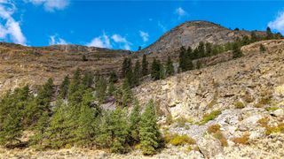 0 TBD Pharr Out - 11 Way, Omak, WA 98841