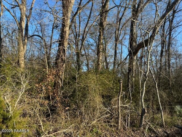 1 Heard Sylvester Road, Washington, LA 70589