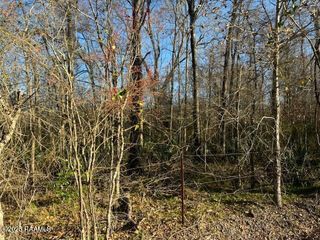 1 Heard Sylvester Road, Washington, LA 70589