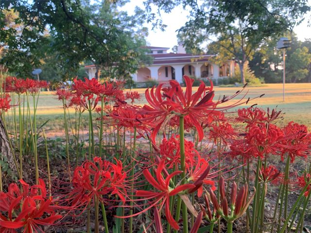 8414 County Road 3907, Athens, TX 75752