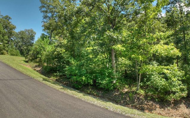 136 Whispering Ridge Court, Ellijay, GA 30540