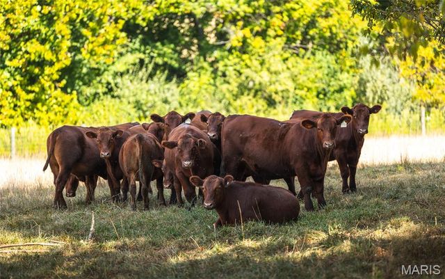 3529 N Rodgers Avenue, Alton, IL 62002