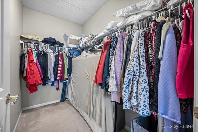 440 W Mahogany Court 312, Palatine, IL 60067