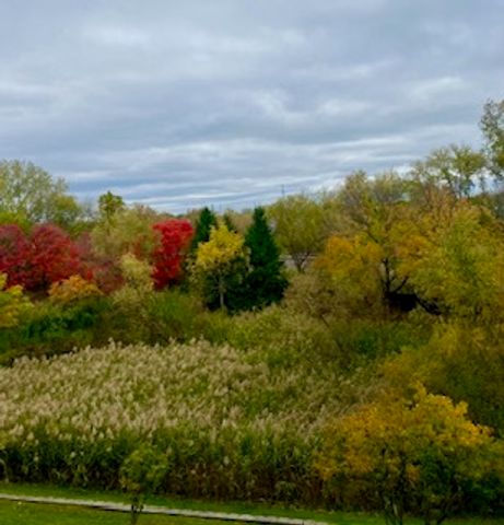 440 W Mahogany Court 312, Palatine, IL 60067